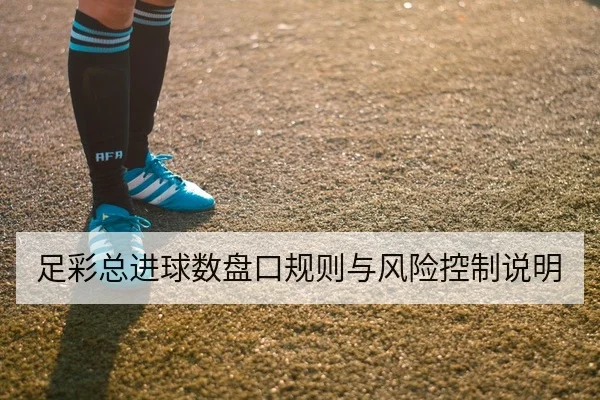 足彩总进球数盘口规则与风险控制说明