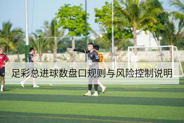 足彩总进球数盘口规则与风险控制说明